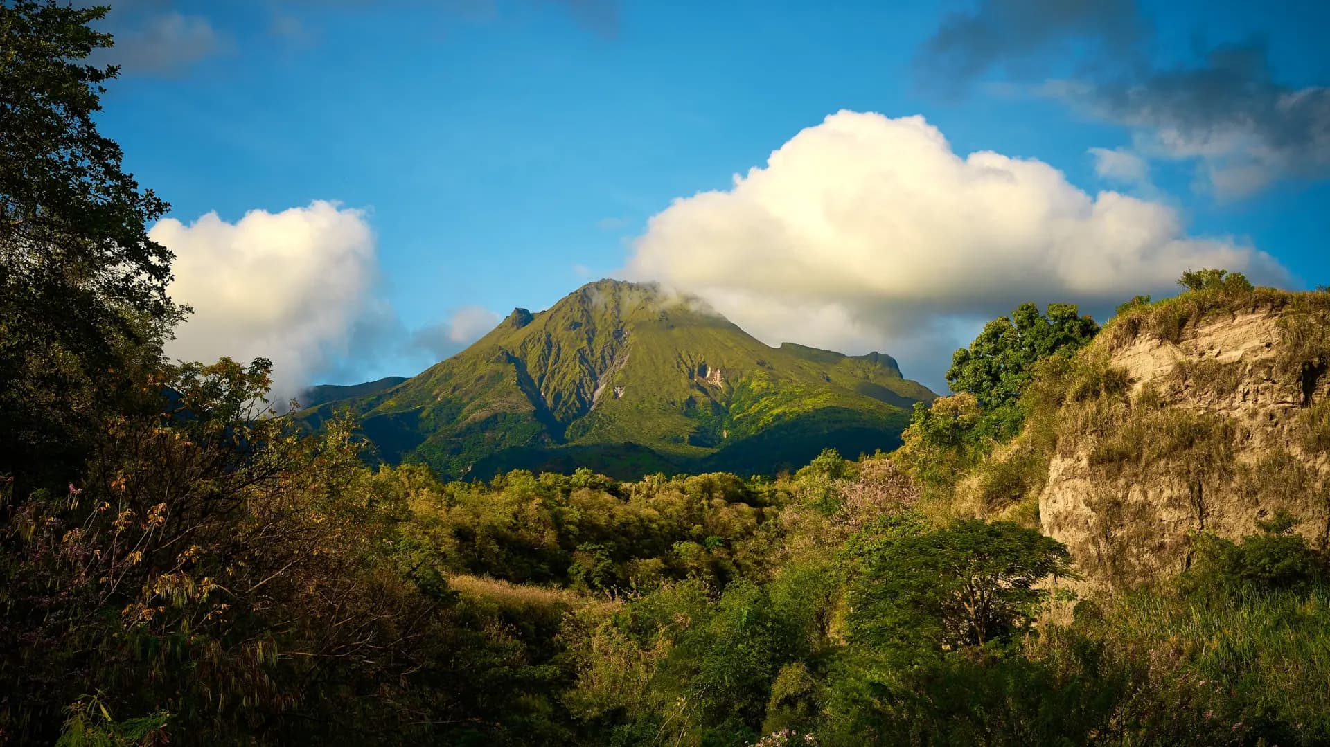 Volcan et forêts