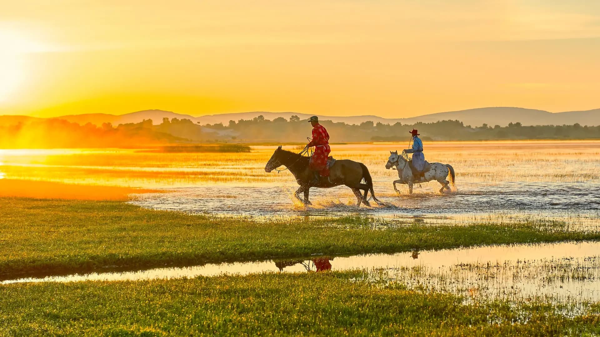 Chevaux et cavalerie
