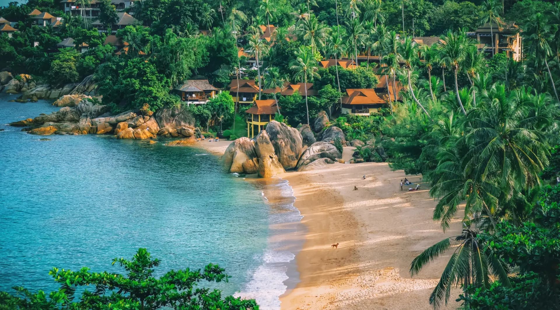 Îles et plages tropicales