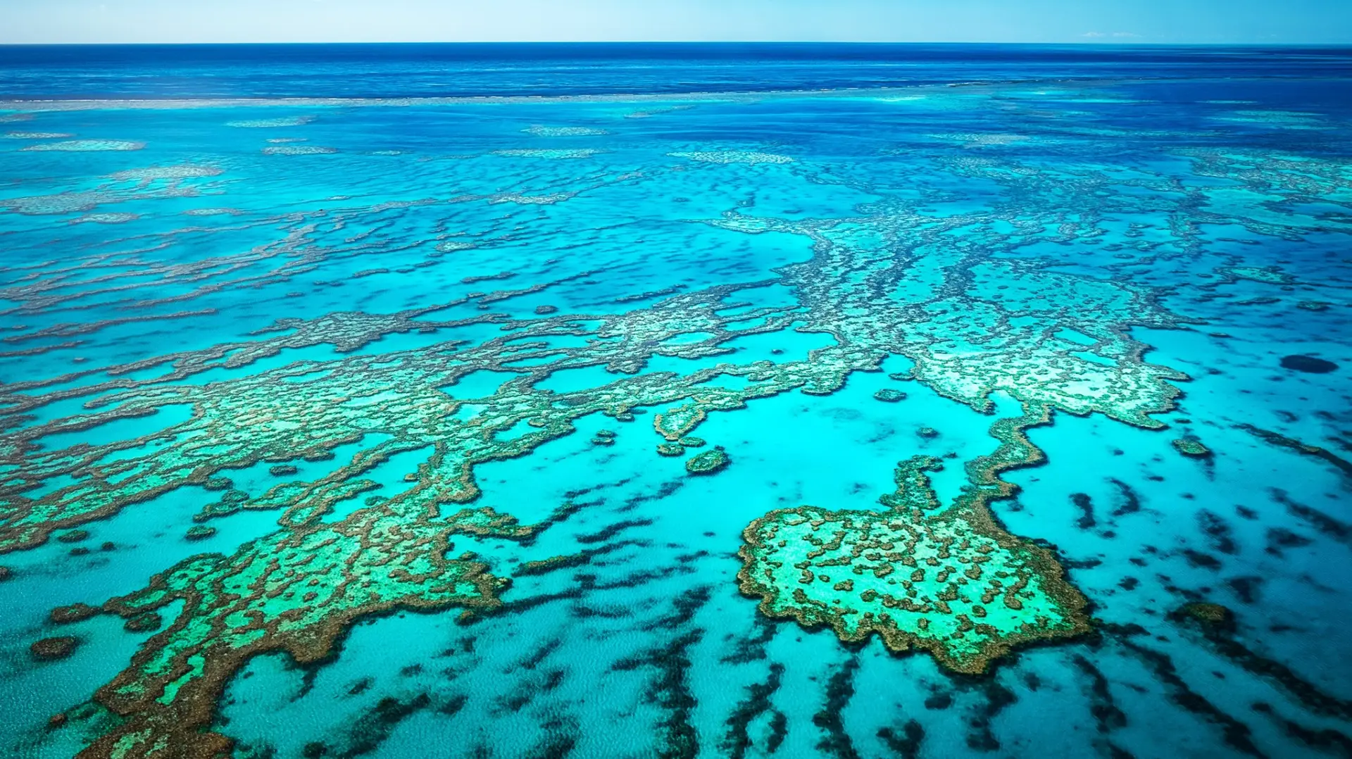 Grande Barrière de Corail