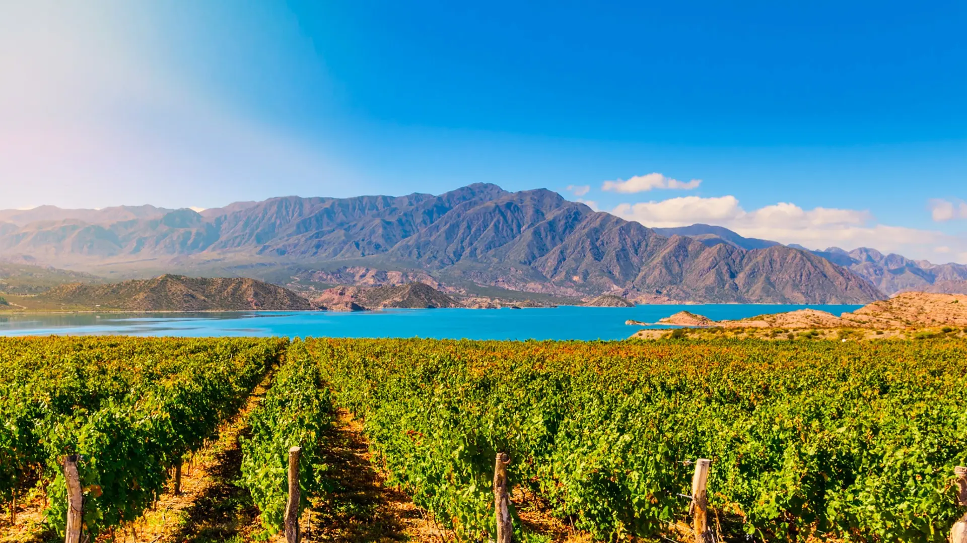 Mendoza