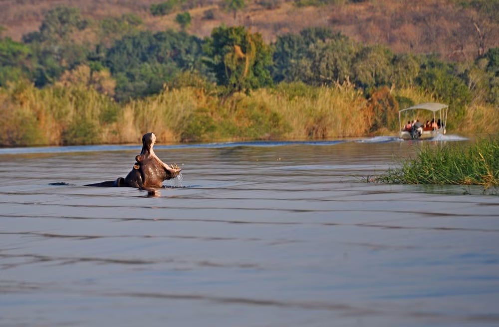 Loango, le royaume de la vie sauvage