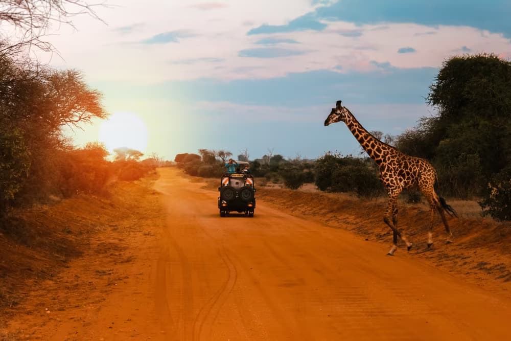 Safari camping en famille