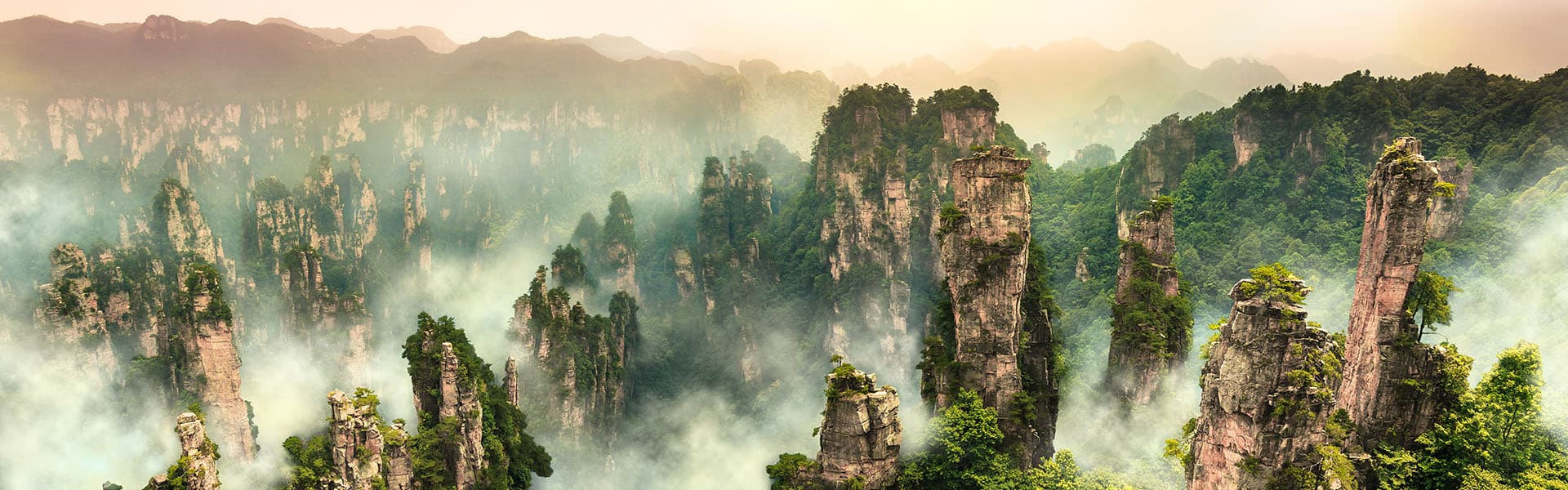 Chine