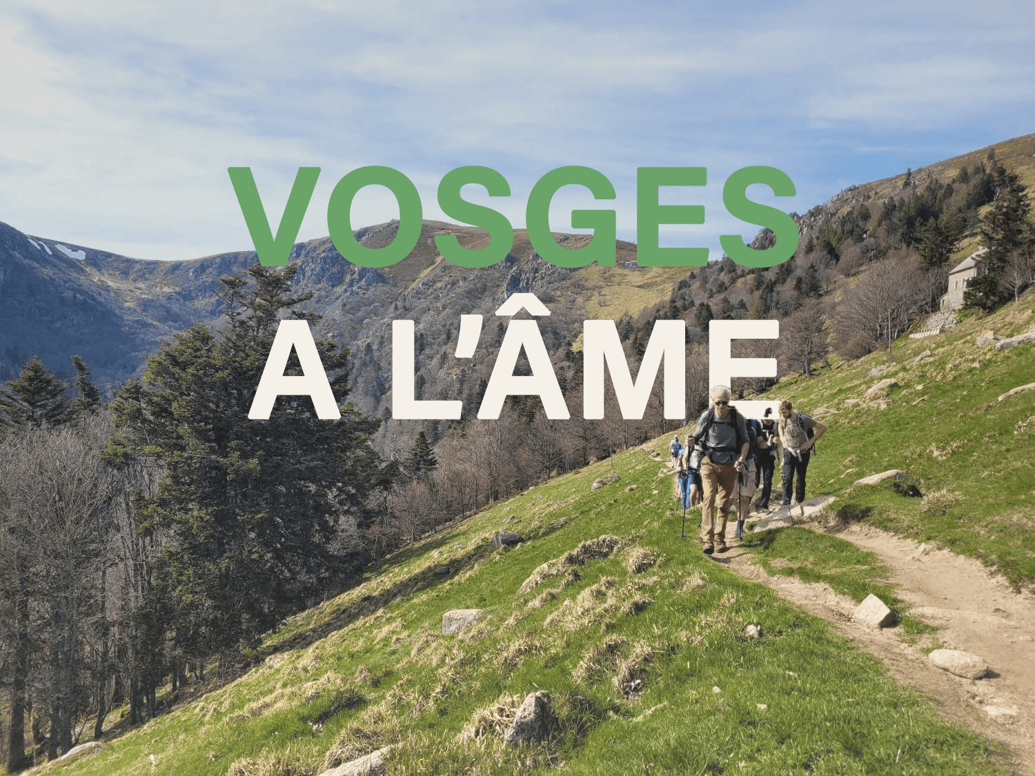 Sur les crêtes Vosgiennes, rando, refuge et bonne bouffe