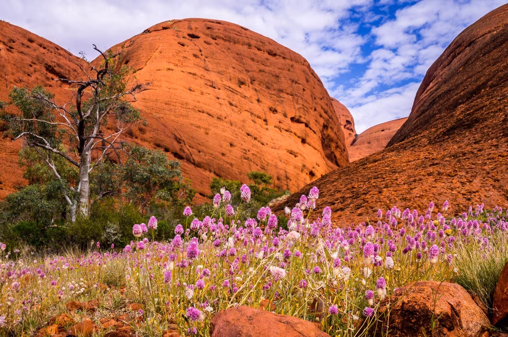 Couleurs d'Australie