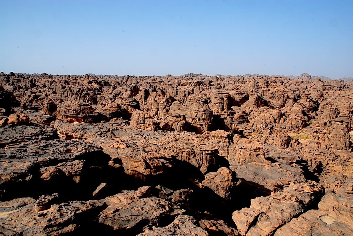 Jour 7
