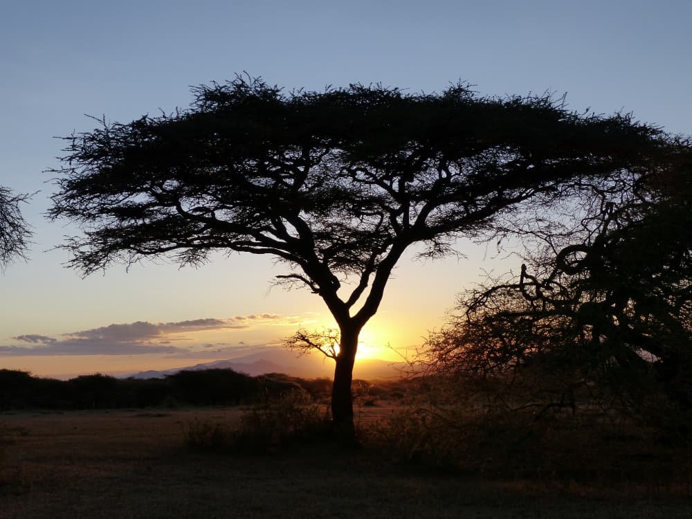 Jour 11