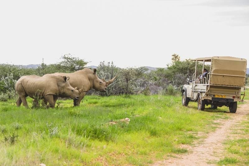 Jour 9
