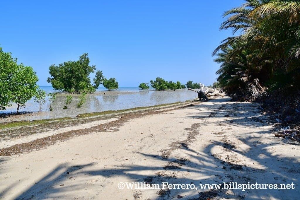 Ifaty