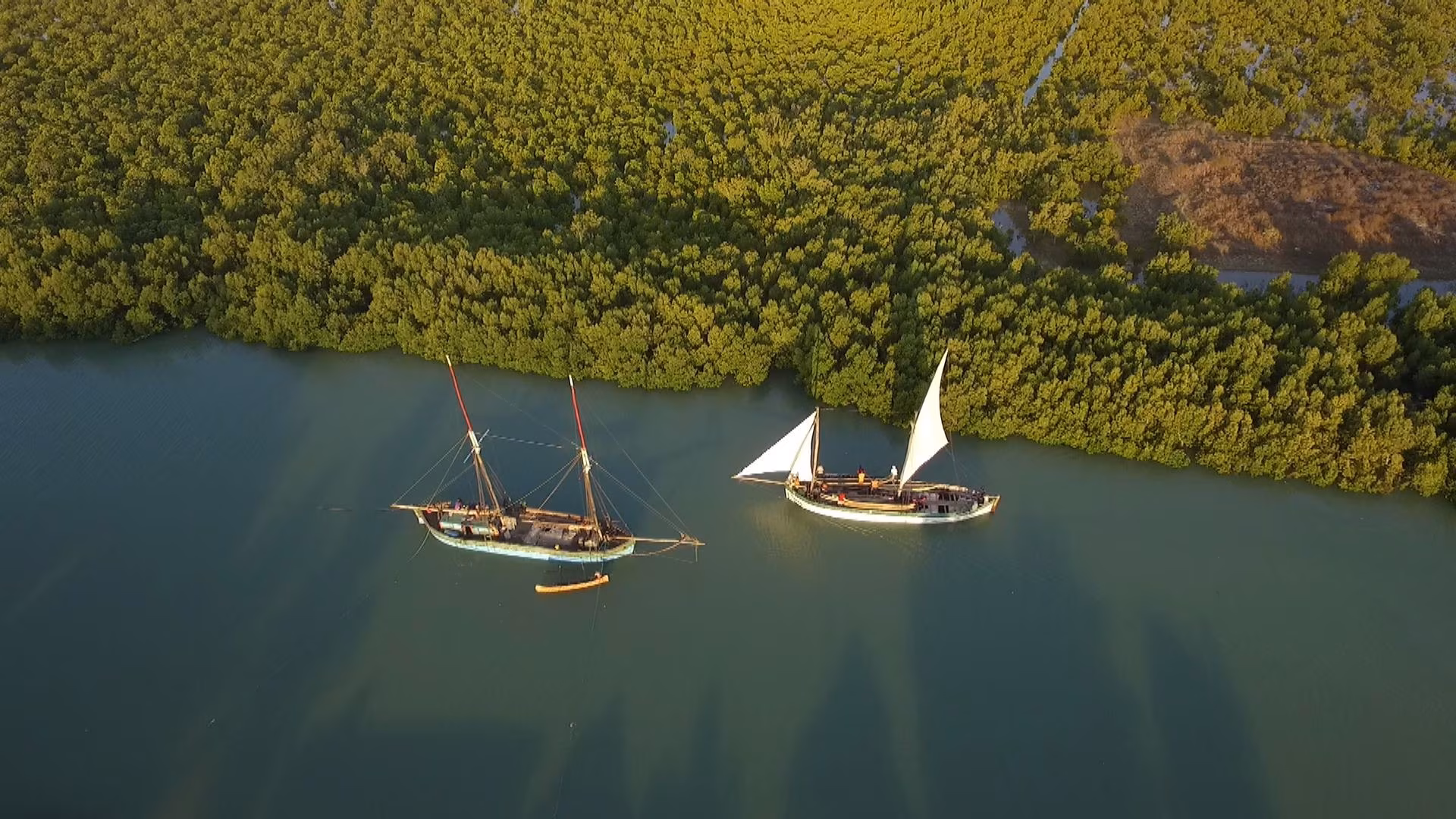 Croisière migratoire de Morondava à Majunga