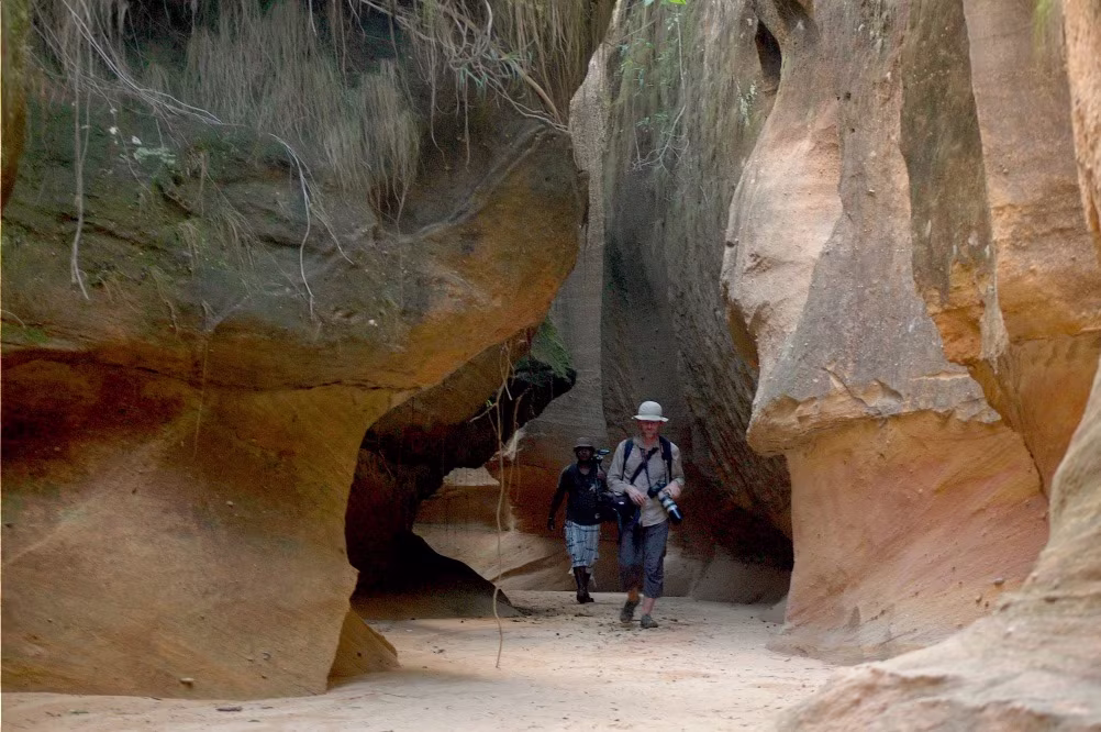 Découverte et Immersion dans le Massif du Makay