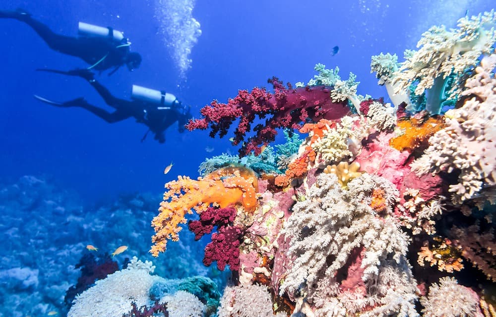 Barrière de corail