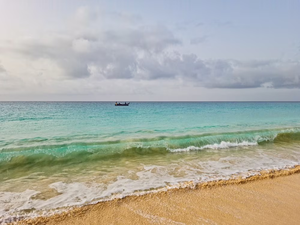 Entre Safari et Plages au Mozambique
