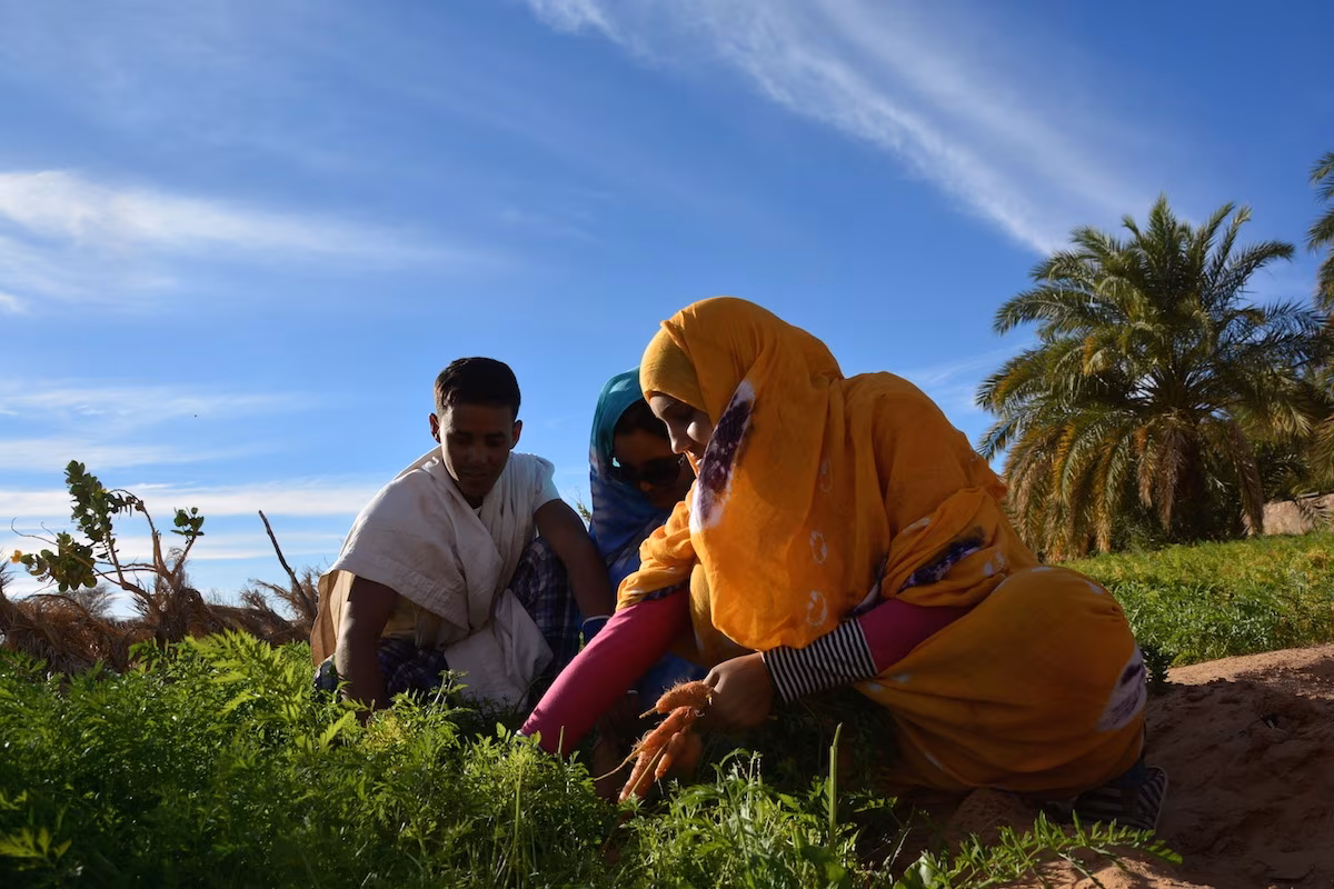 Du Banc d'Arguin aux confins de l'Adrâr mauritanien