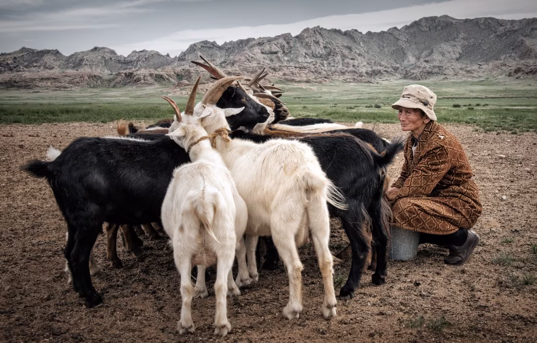 Itinérance en Mongolie centrale