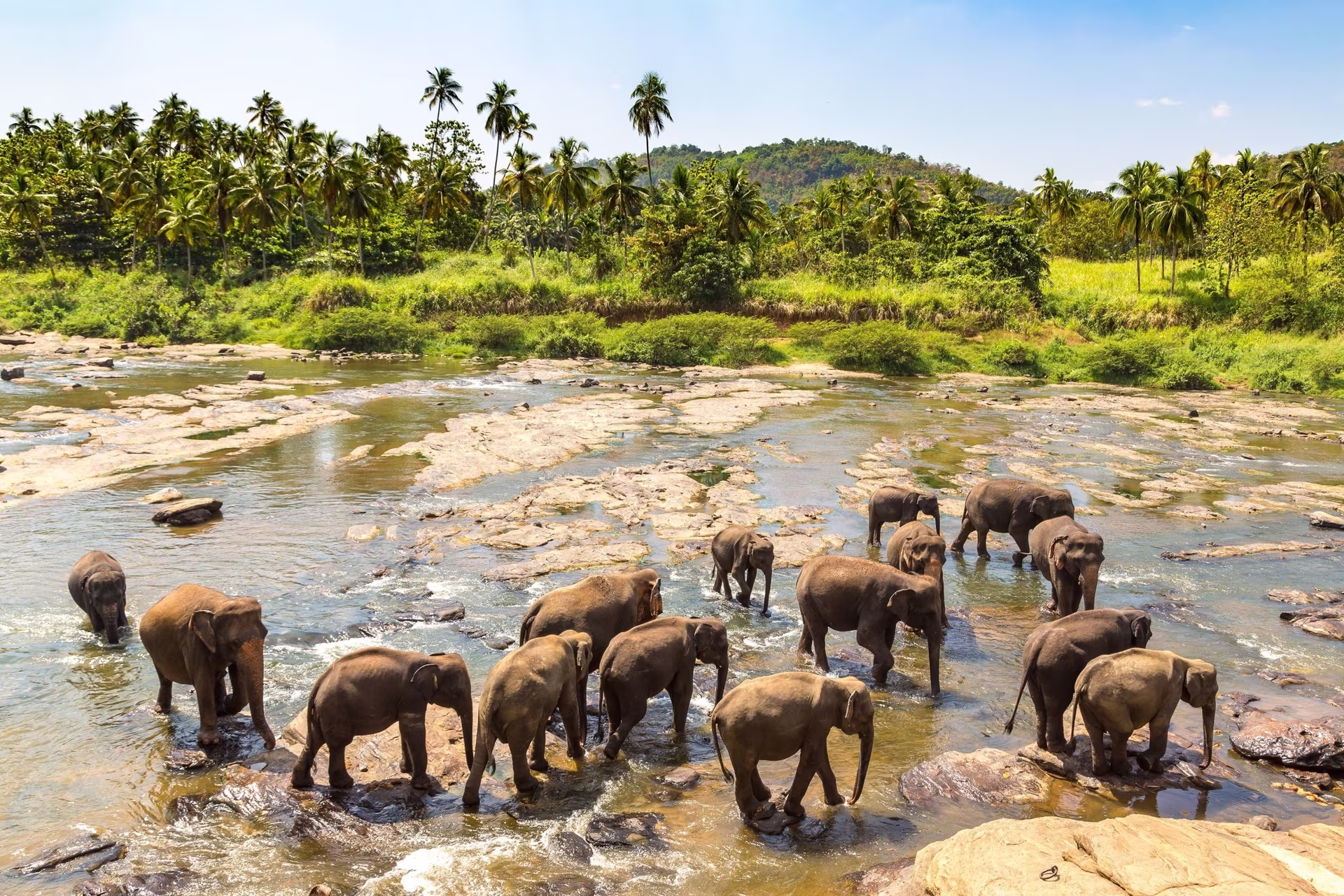 Les beautes du Sri Lanka en famille